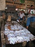 TANZANIA - Zanzibar Stone Town - Fish market - 07